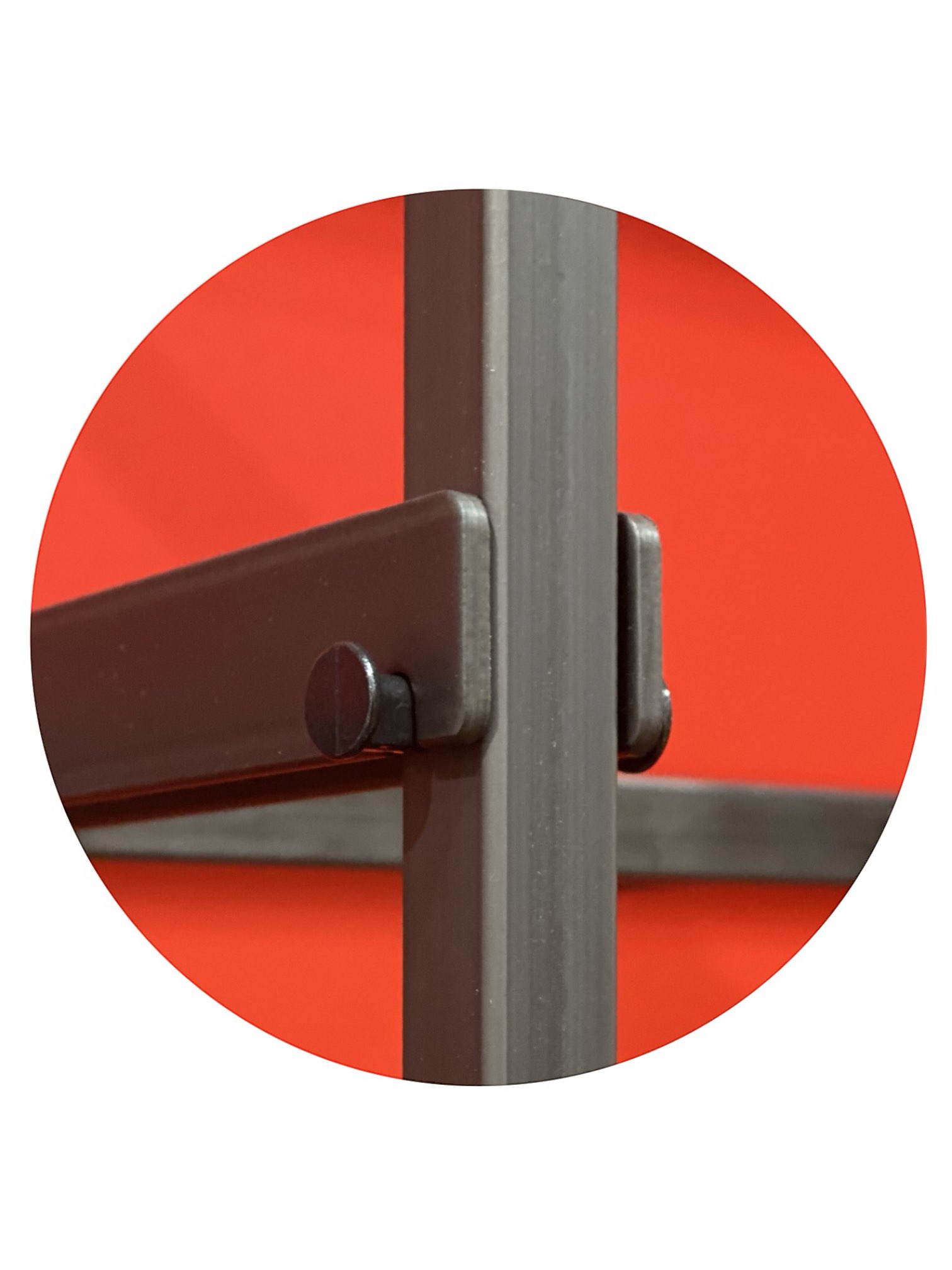 PhotoRoom_20231107_171633