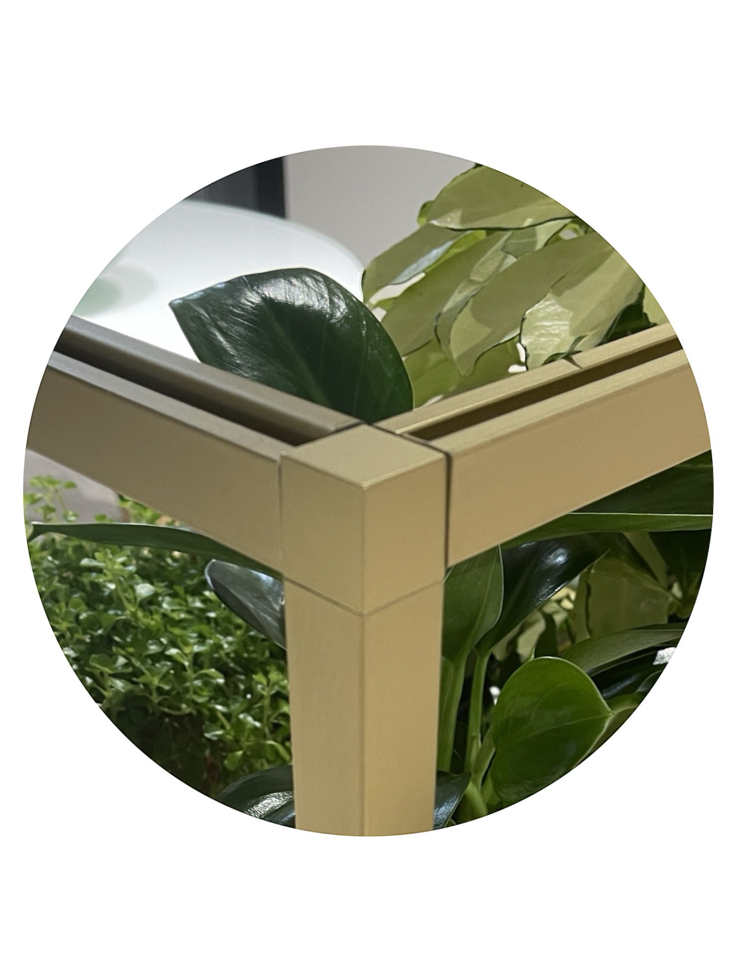 PhotoRoom_20231107_175737